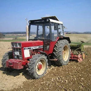 Bernhard