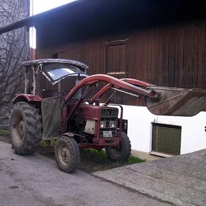 Schorsch