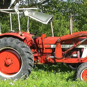 Schorsch