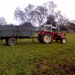 SebastianD439