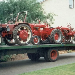 IHC 383