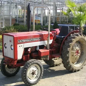 Tim Bollwerk