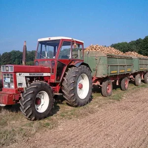 eule