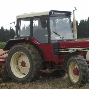 Bernhard
