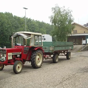 IHC 383
