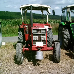 IHC 383