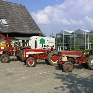 Tim Bollwerk