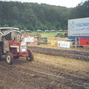 IHC 323