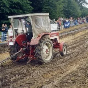 IHC 323