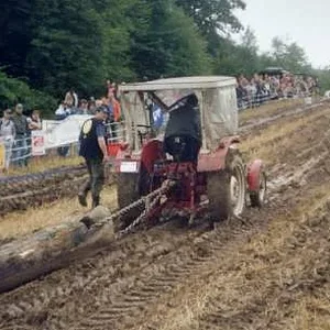 IHC 323