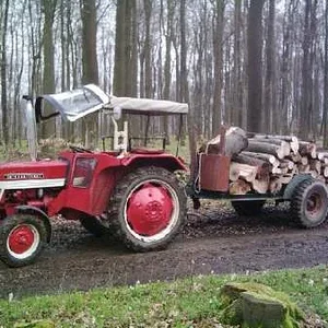 Holztransport April 2005