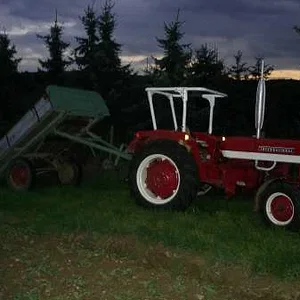 Matthias-IH353
