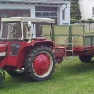 323
