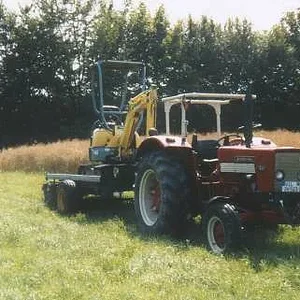 Falko