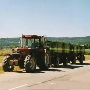 Falko