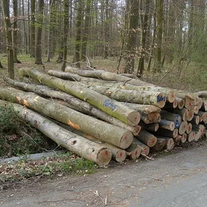 Matthias-IH353