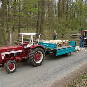 Matthias-IH353