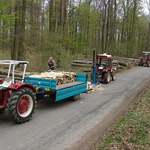 Matthias-IH353