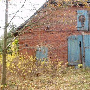 Jos