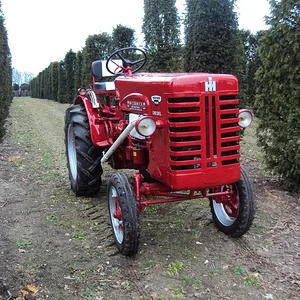 IHC FV265D in Gartenbau
