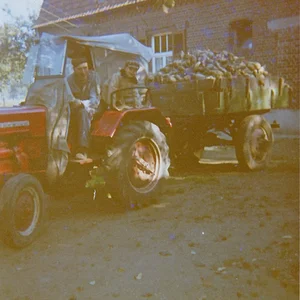 Großvater‘s D-217