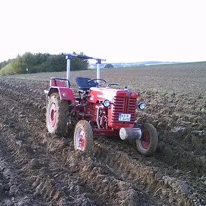 mc cormick D219