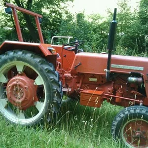 326Martin