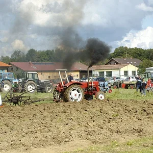 Schorsch