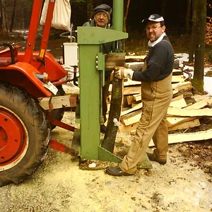 McCormick D219