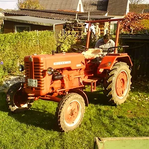 d219