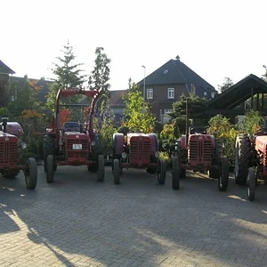 Tim Bollwerk
