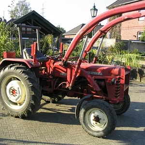 Tim Bollwerk
