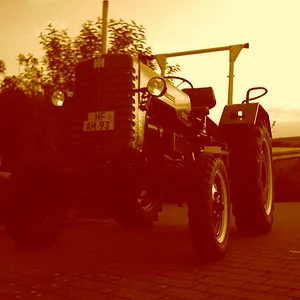 D-219