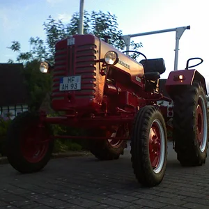 D-219