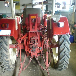 SebastianD439