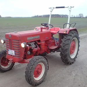 Kristofd430