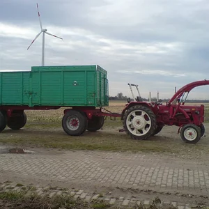 SebastianD439