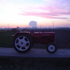 bastian
