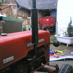 Holly 326
