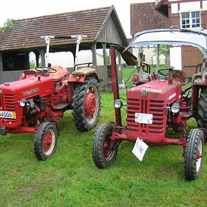 IHC 955