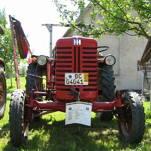 IHC 955