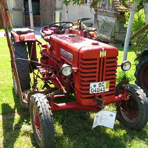 IHC 955