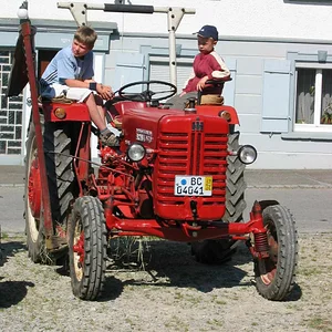 IHC 955