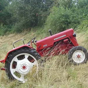 BastianD432