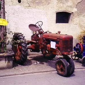 Falko