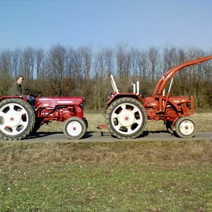 SebastianD439