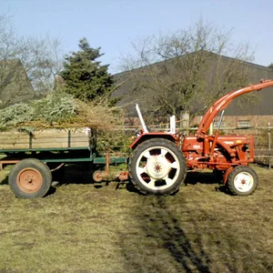 SebastianD439