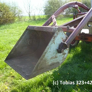 Tobias