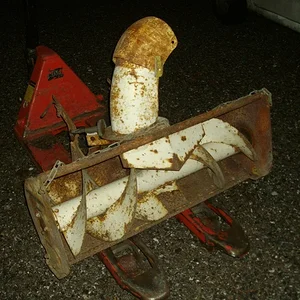 Schorsch