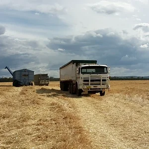 ..